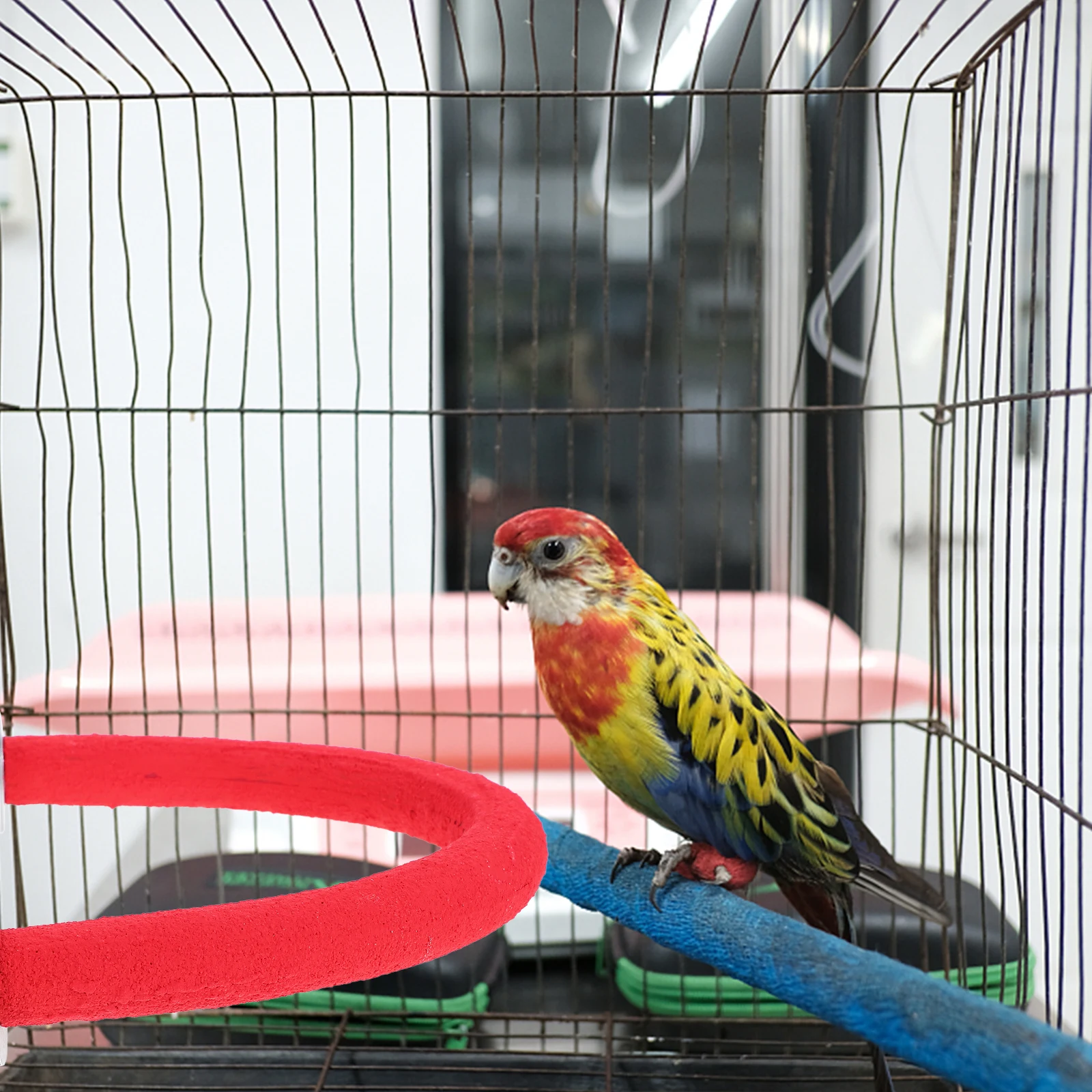 

Parrot Accessories Scrub Stick Bird Toys Stand Ladder Grinding Red Plastic Climbing