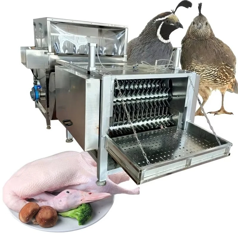 Small Electric Poultry Scalder Pool Customized, High Quality Chicken Turkey Feather Plucking & Scalding Machine