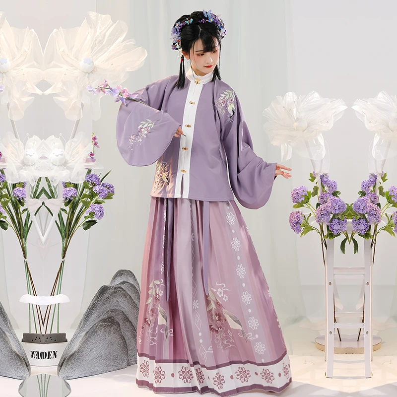 Hanfu Ming – vêtements traditionnels chinois de la dynastie pour femmes, jupe plissée à col montant, tenue brodée, vêtements anciens, 2 pièces