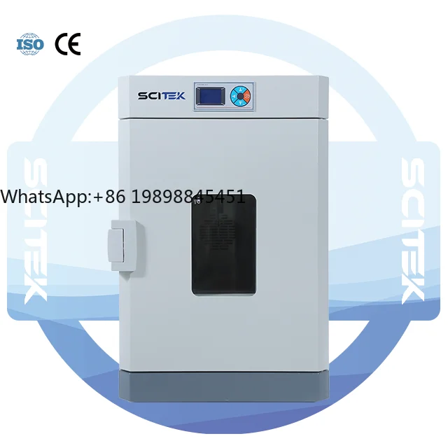 

240L Forced Air Drying Oven PID Controller Laboratory Stainless Steel Drying Oven