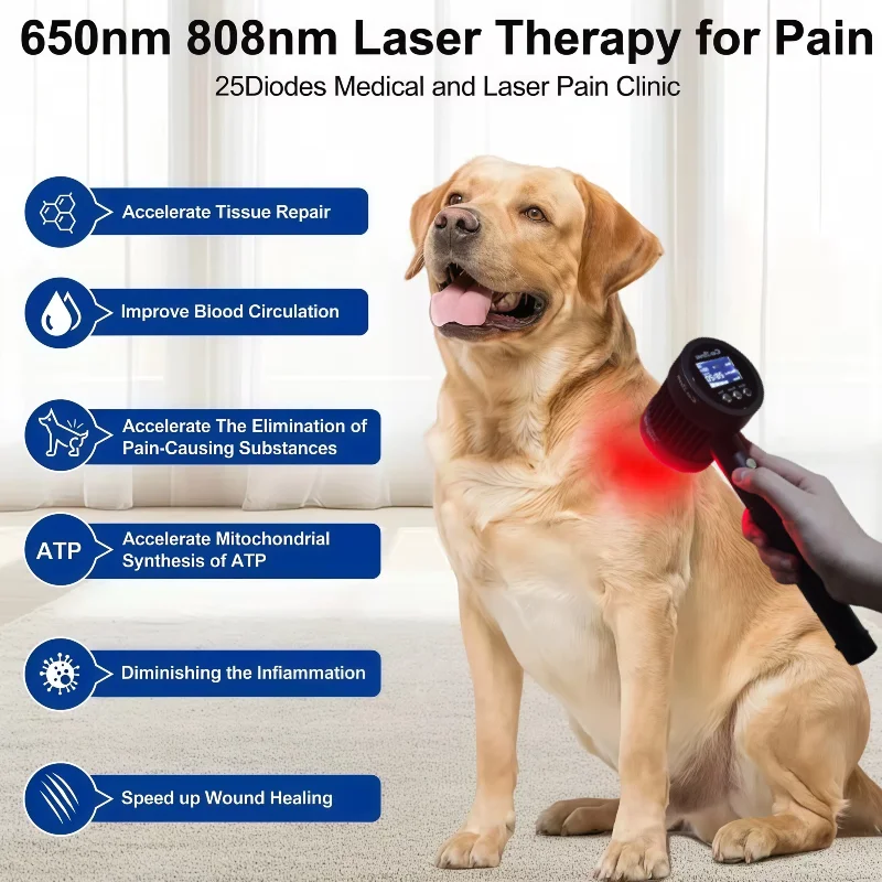 

Clinical Grade Class 4 Laser Therapy 6x808nm 19x650nm, Red & NIR Light for Human Horse Pet Back Pain Muscle Strain Inflammation