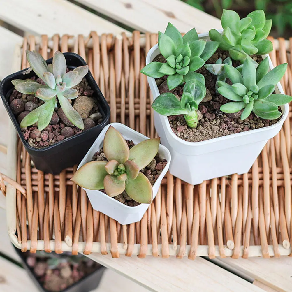 15Pcs Thick Frosted Nursery Pots Plastic Planters Lightweight Drainage Holes Garden Planting Pots Succulent Plant Container