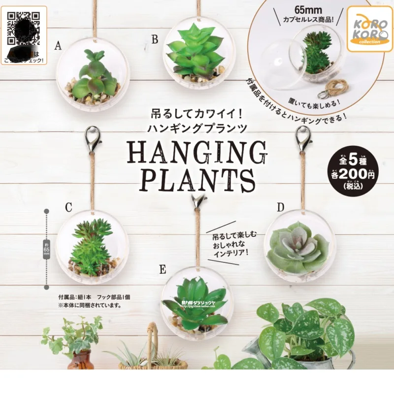 Bandai Genuine Gacha Scale Model Succulents Hanging in Glass Bottles Lovely Ornaments  Action Figure Toys