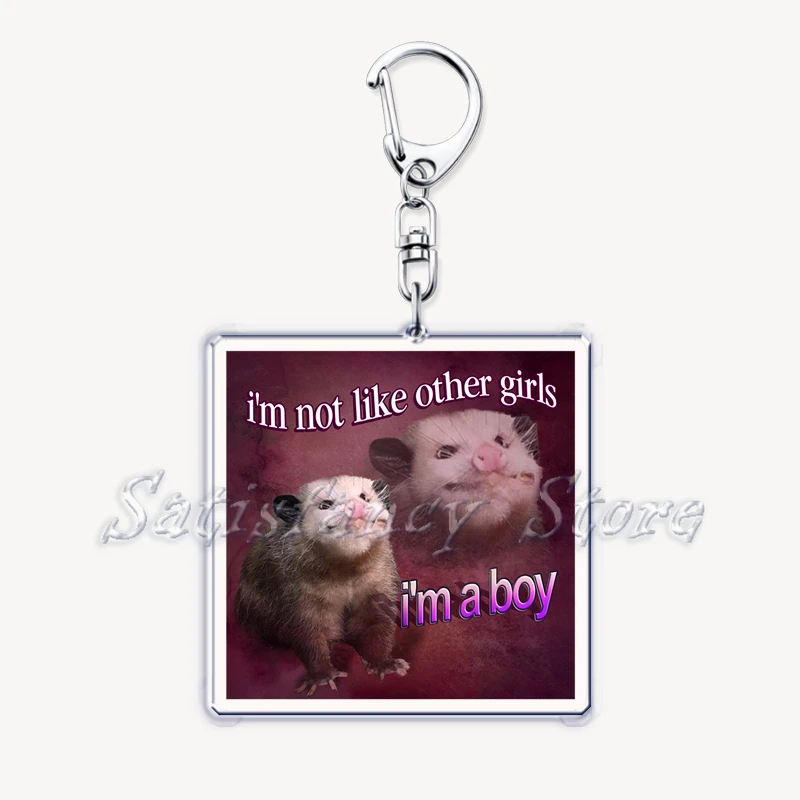 Funny Possum Hamster Raccoon Cat Meme Acrylic Keychains Keyring for Accessories Bag Pendant Key Chain Ring Jewelry Fans Gifts