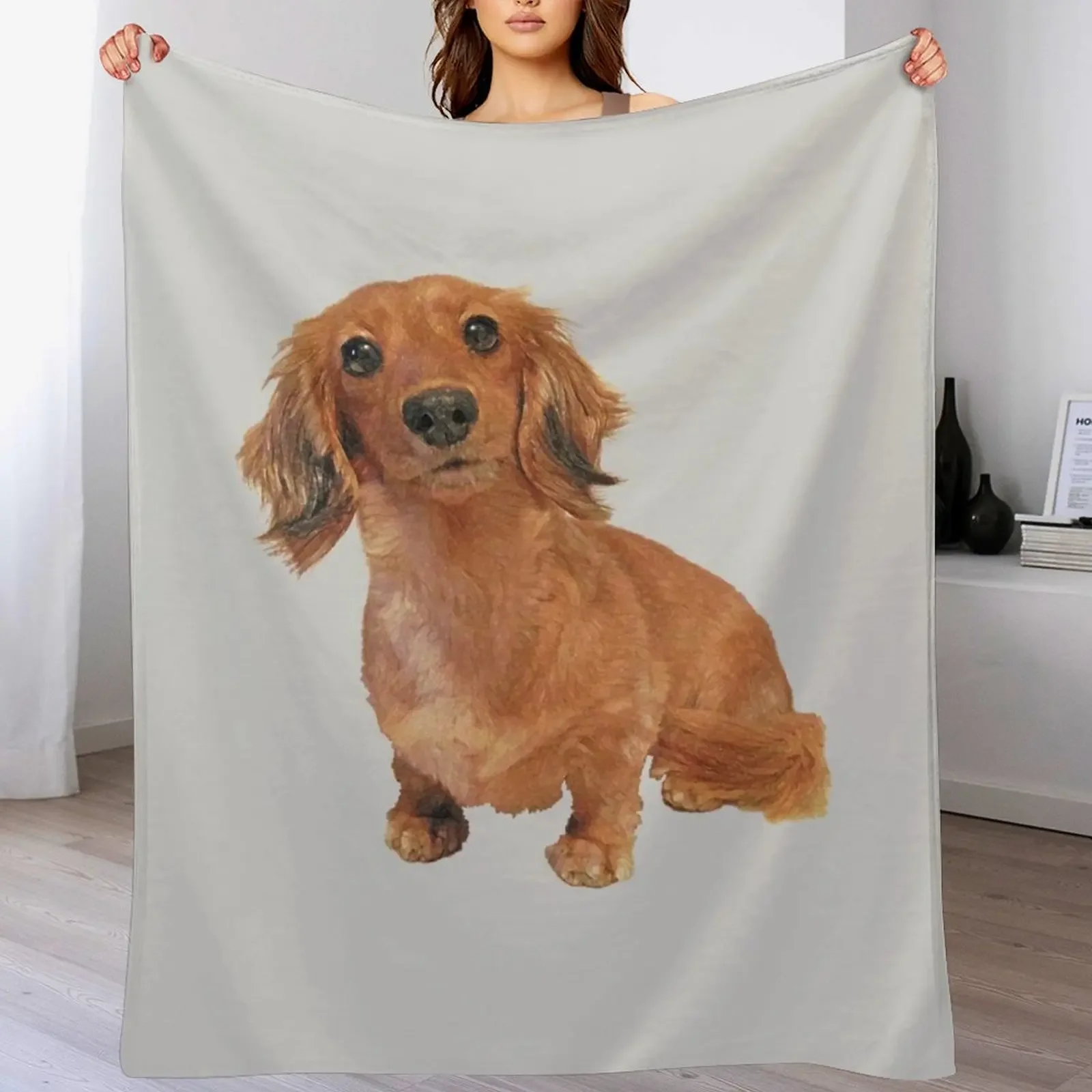 

Cute Long Haired Dachshund Painting Throw Blanket Travel Single Sofas decorative Blankets