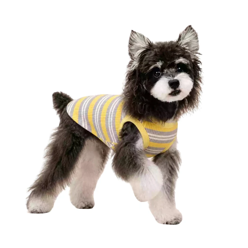 

Summer Small Dog Vest Cat Chihuahua Yorkies Shih Tzu Maltese Pomeranian Bichon Poodle Schnauzer Clothes Pet Dog Clothing Apparel