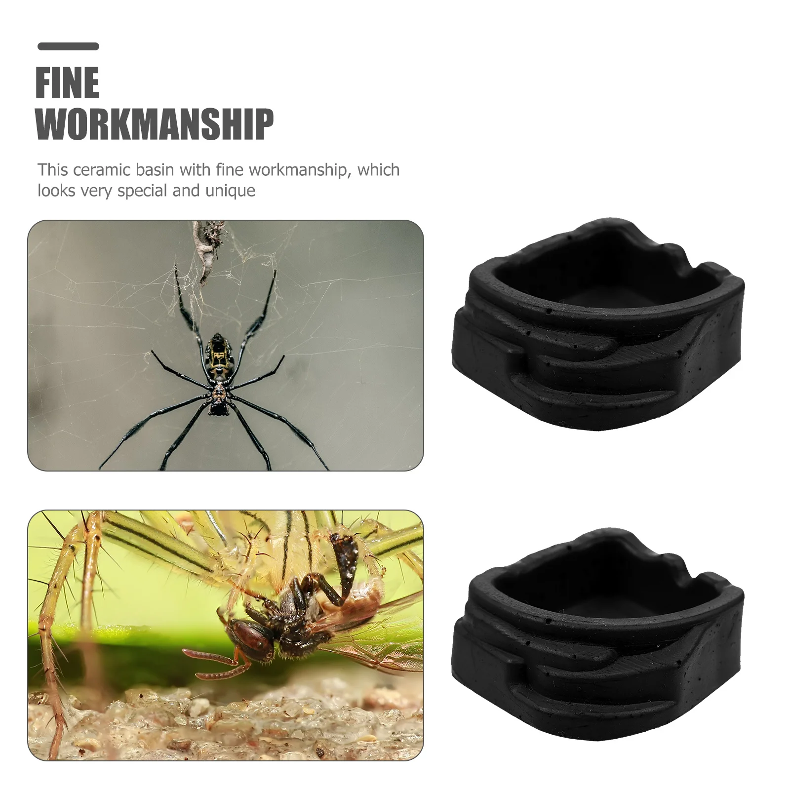 

8Pcs Reptile Water Basin Resin Feeder Small Reptile Breeding Basins Spiders Feeding Sinks Scorpion Dish Durable Smooth