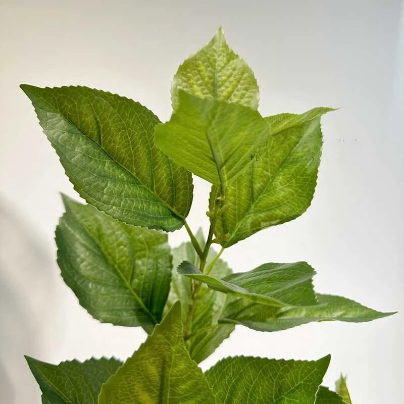 リアルなタッチ人工アジサイの葉植物屋内モネ庭の装飾緑風景花アート葉素材