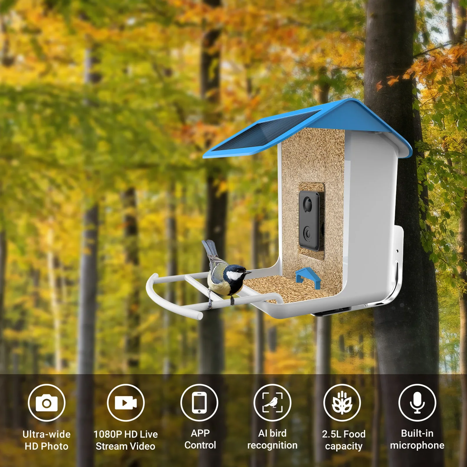 

1080P WiFi Mini Camera Bird Feeder House Monitor Wireless Cam Outdoor Watching Aves Camcorder Video Recorder Safety Surveillance