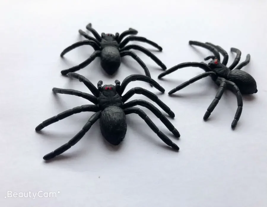 Outdoor Fun Sport Halloween Simulatie Spider Fly Kakkerlak Prank Speelgoed Nieuwigheid Gag Speelgoed Verjaardagscadeau voor vriend of kinderen