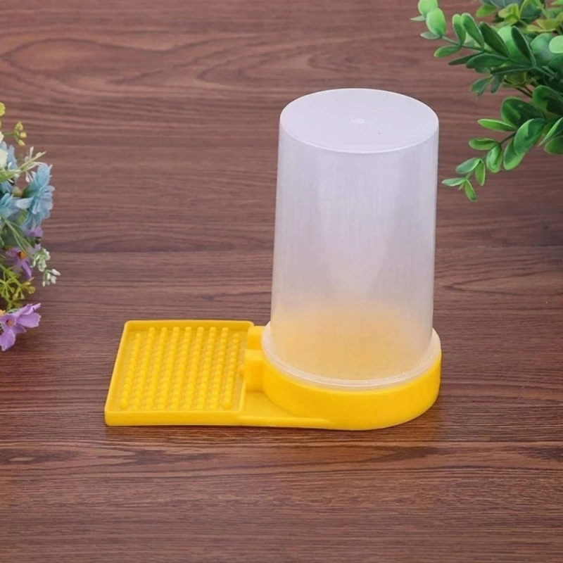 4 PCS Insect Feeder Insect Feeding Solution Plastic Texture Feeding Equipment Dropshipping