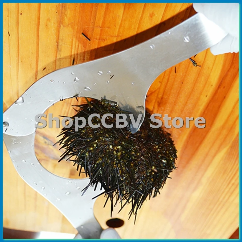 

Stainless Steel Sea Urchin Shell Cutting Shears Labor Saving Sea Urchin Shell Opening Tools Scissors Kitchen Gadgets-A50M