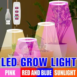 LED Full Spectrum Grow Light Indoor Plant Cultivation Lamp USB Dimmable Phytolamp For Seedlings Hydroponic Flowers Seeds Growbox