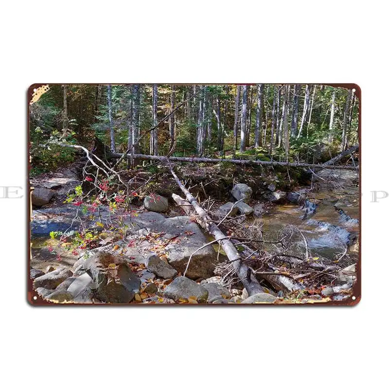 New Hampshire Autumn 6 Metal Signs Club Decoration Wall Decor Designs Garage Tin Sign Poster