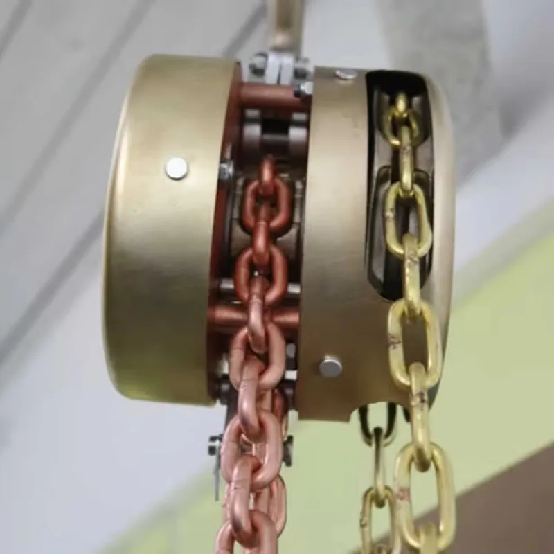 رافعة يدوية مقاومة للانفجار 5T رافعة يدوية مقاومة للانفجار البحرية لمصنع بناء السفن #4