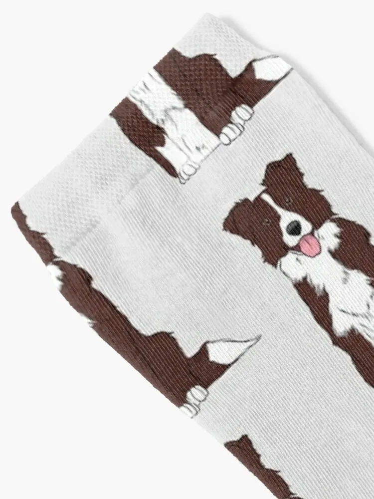 Brown and White Border Collie Socks new in's socks cartoon socks socks designer brand anti-slip socks Boy Child Socks Women's