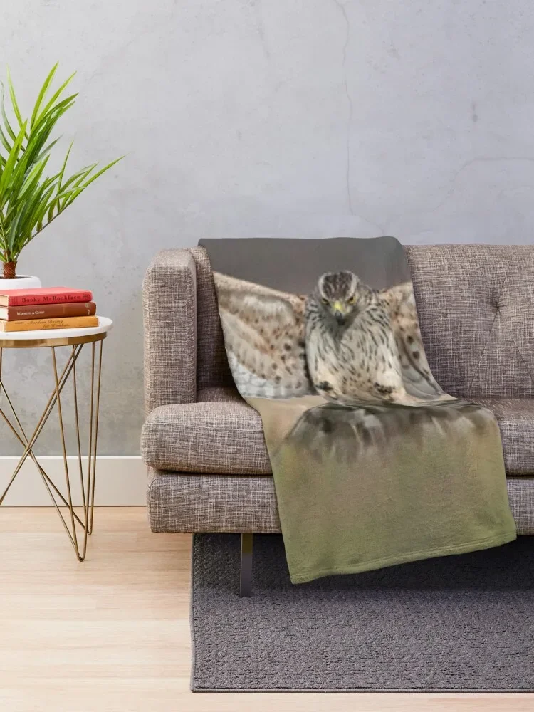 Northern goshawk (Accipiter gentilis) attacking Throw Blanket Sofa Sofa Quilt Blankets