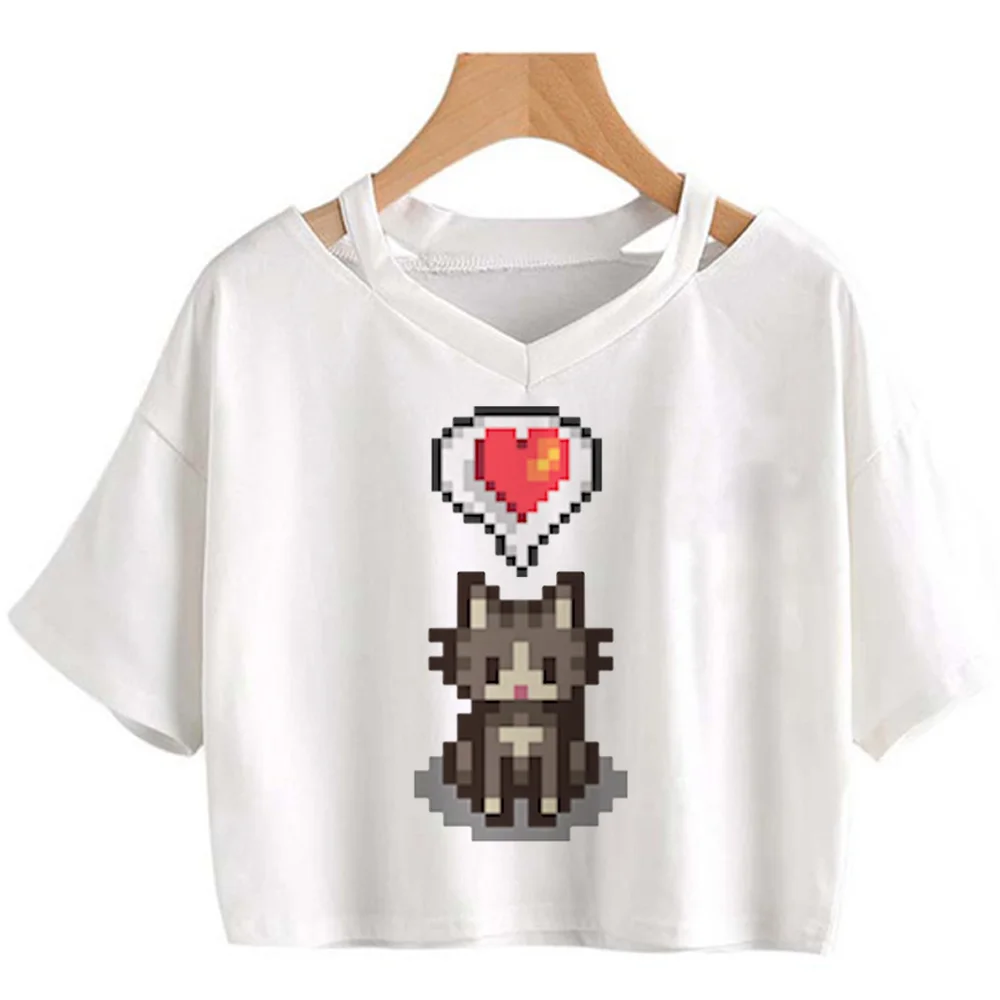 Stardew Valley top women graphic streetwear designer Tee girl designer clothing