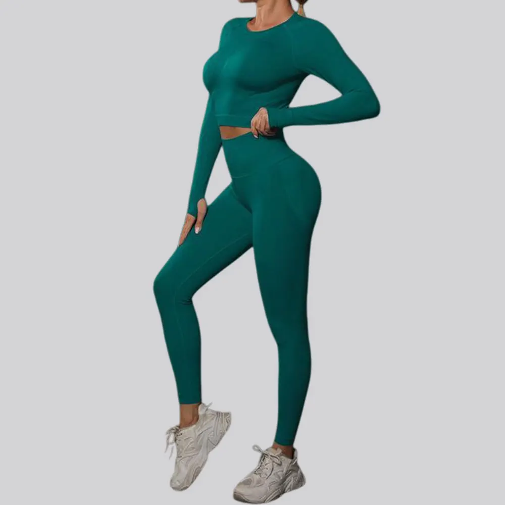 

2PCS Seamless Pants Yoga Set Gym Exercise Clothes Women Sports Suit Solid Fitness Long Sleeves Leggings Pant Training Sportswear