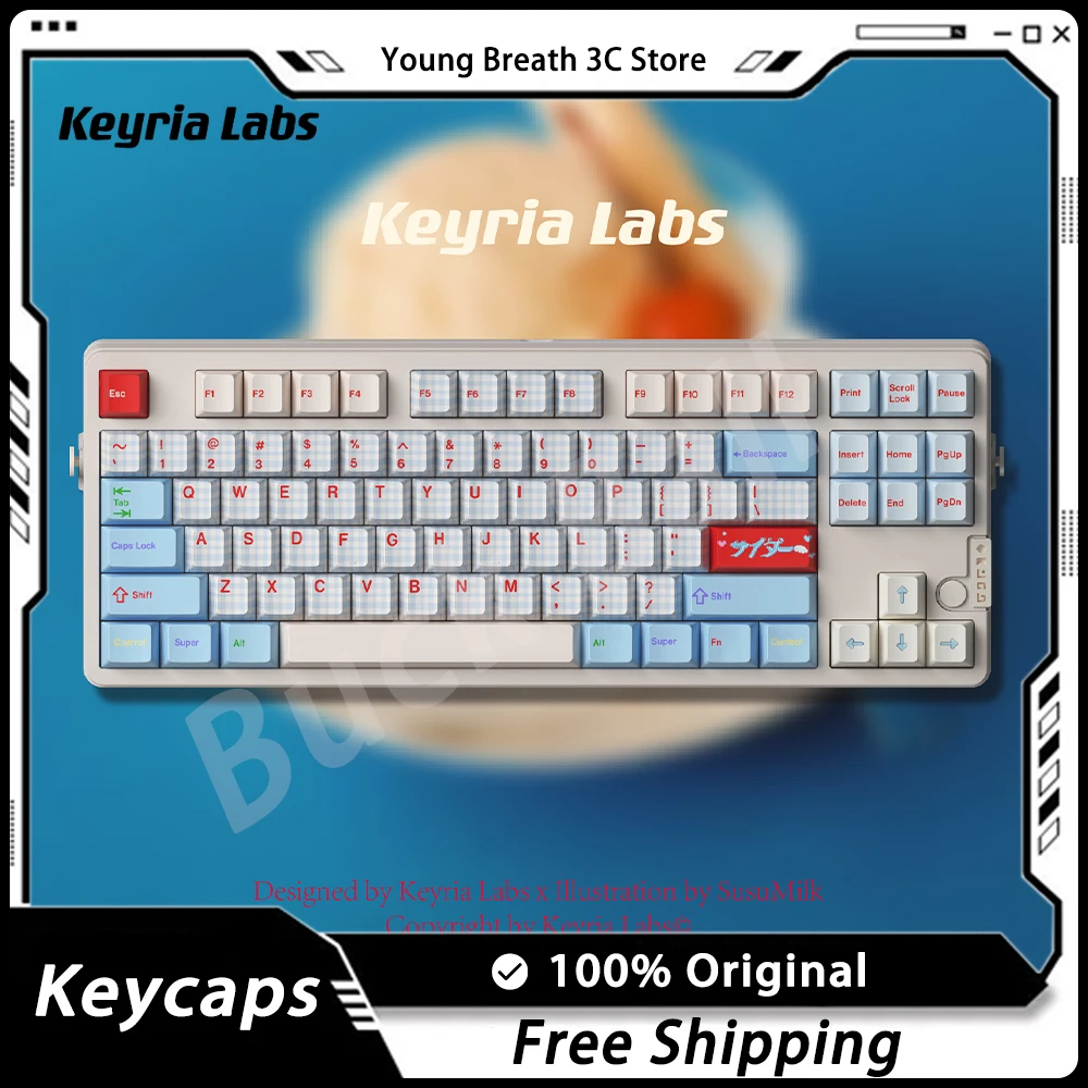 

KeyriaLabs DSST02 Keycaps PBT Cherry Height Customized Keycap For Mechanical Keyboard Thermal Sublimation Kawaii PC Gamer Gifts