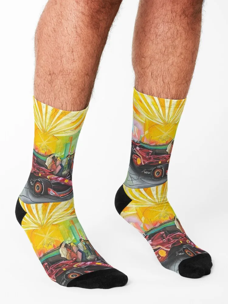 Fast Evolution (Mural Currently located in Miami) Socks Stockings man christmas gifts sheer christmas stocking Socks Women Men's
