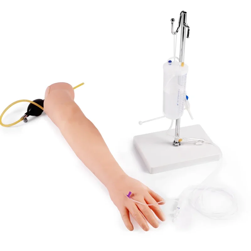 Modelo venoso do braço da punção, molde do treinamento da infusão, modelo médico simulado da prática da injeção do braço.