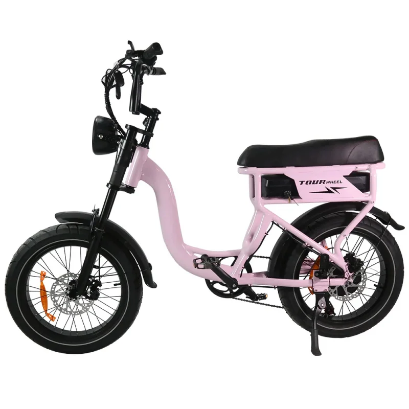 Tourwheel EU Warehouse 48V Electric Bicycle 250W 500W 20 Inch Wheel Hydraulic Brake Mini Dirt Mountain T7 Fat Bike