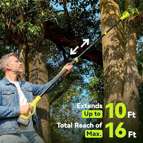 Electric Pole Saws for Tree Trimming, 8 Inch & 6 Inch Mini Chainsaw Cordless with Extension Pole, 16Ft Reach, 2x4.0Ah