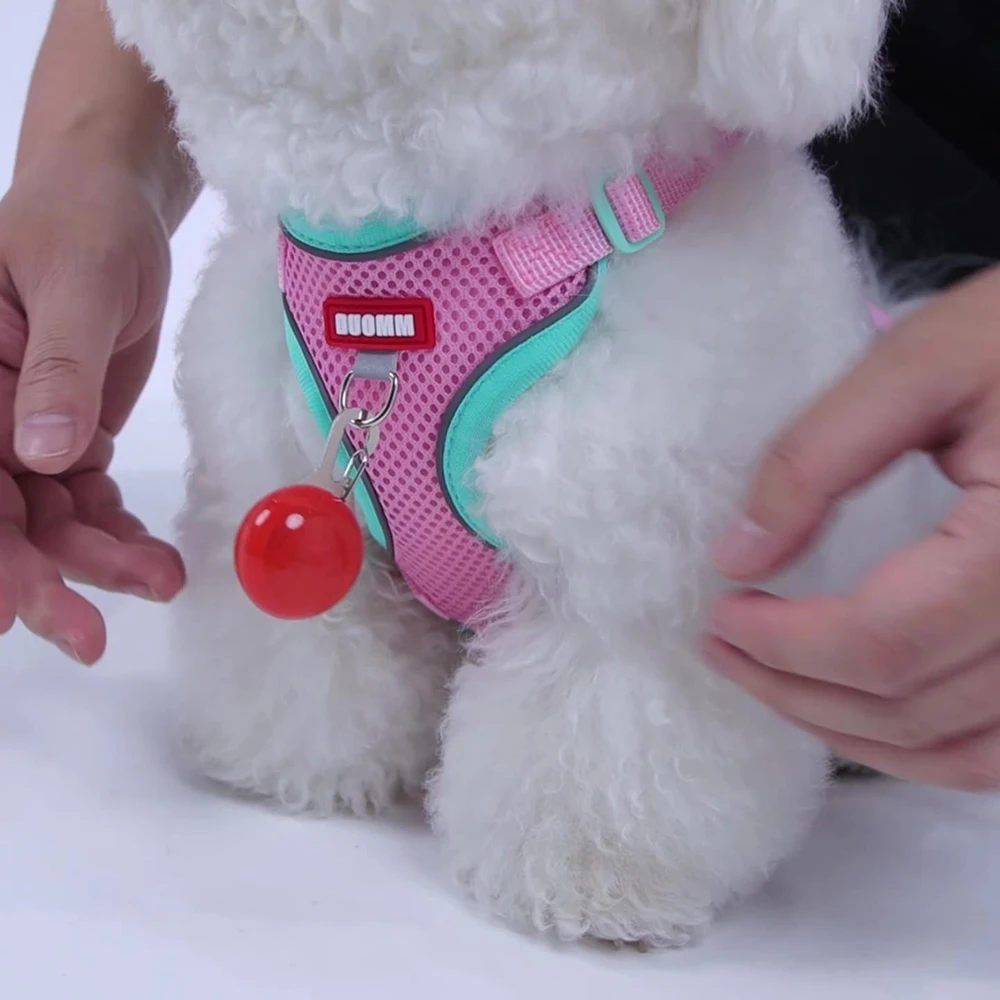 Thumbnail 4 - #89 Best Puppy Harnesses to Buy In 2026