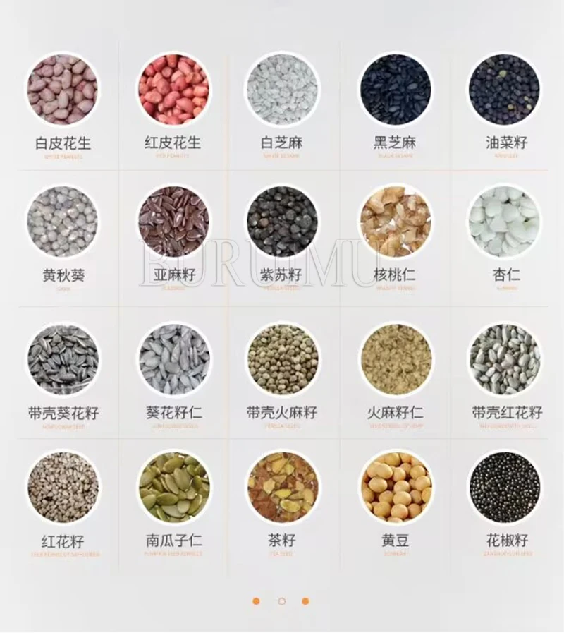 Stainless Steel Oil Press Machine Cold Oil Extractor  Sunflower Olive Oil Presser