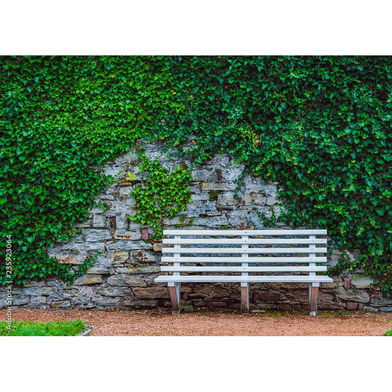 مستلزمات تصوير المناظر الطبيعية ، العشب الأخضر والسماء الزرقاء ، السحب البيضاء ، خلفية الصور ، مستلزمات الاستوديو ،