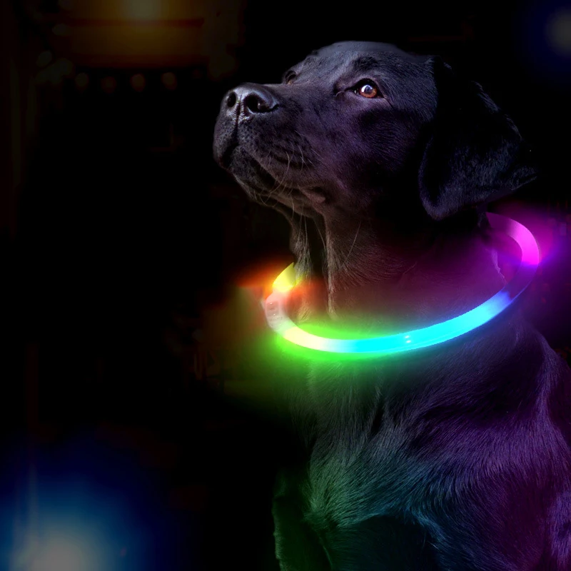 LDE Pet Luminous Collar Charging Dog Ring Night Glow-in-the-Dark LED Light for Dogs And Cats Visibility Safety Accessory