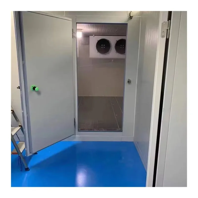 Walk in Freezer Cold Storage Refrigeration Equipment Cold Room Warehouse Frozen Meat Sea Food Freezer