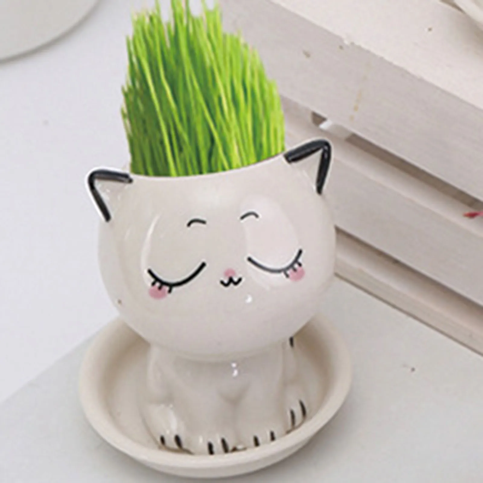 Cat Shaped Ceramic Flowerpot Cactus Flower Pots Desk Decorate Small Ornament Ideal Gift for Christmas Birthdays