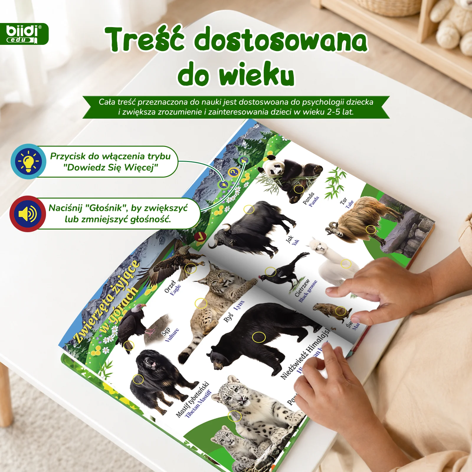Интерактивная электронная книг – обзор и цена Kids Education Uk