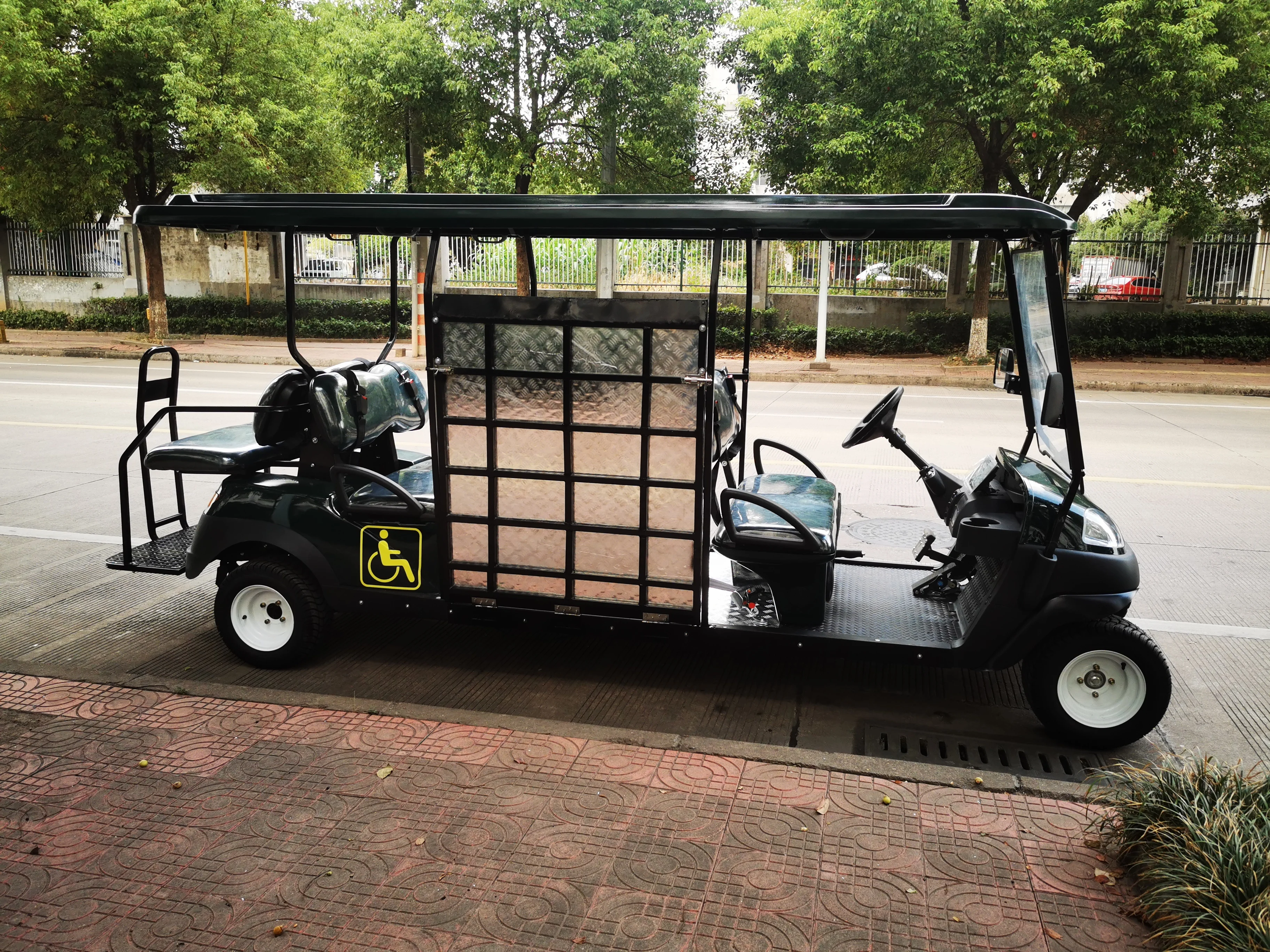 Carrito de golf para Discapacitados de 4 + 2 plazas