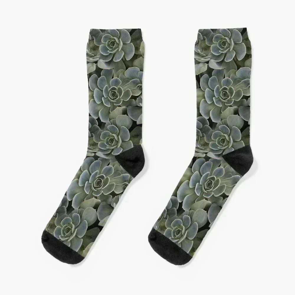 Succulent (pattern) Socks valentine gift ideas football crazy Boy Child Socks Women's