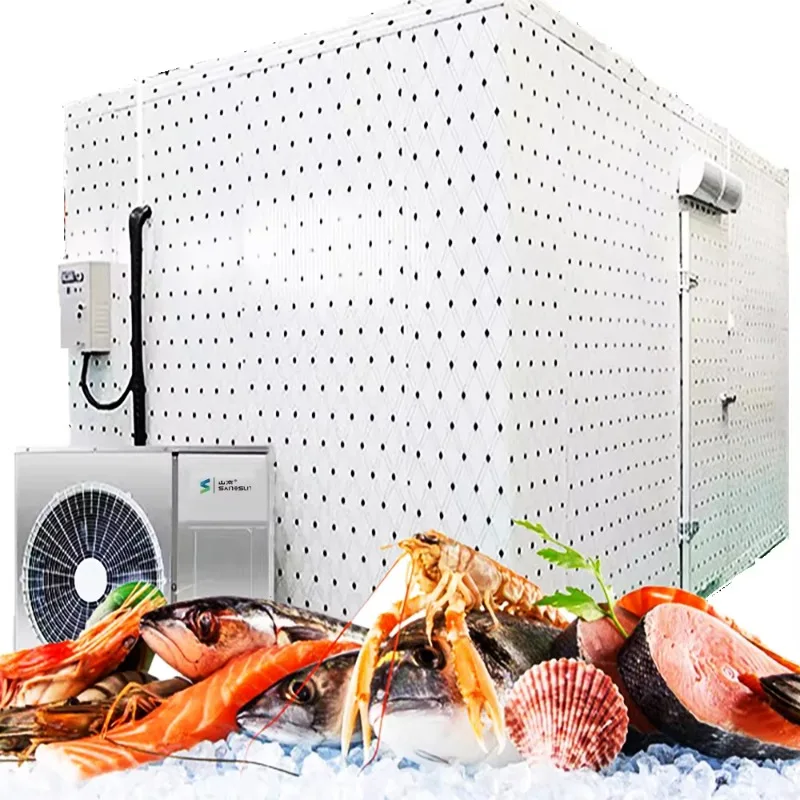 Customized Disassemblable Cold Storage and Freezer Room, Powered by Solar Energy and Equipped with Refrigeration Unit