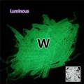 W 0040