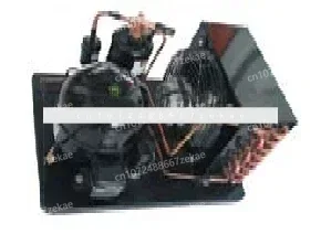 115V/60Hz Embraco R290 R404 LBP DFE90DLR134a 110V 1/3pk LBP compressor kleine koelcondensorunit