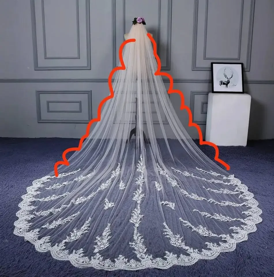 

118" Long, 110" Wide 1 Layer Lace Applique Wedding Veil Cathedral Length Bridal Veil with Comb