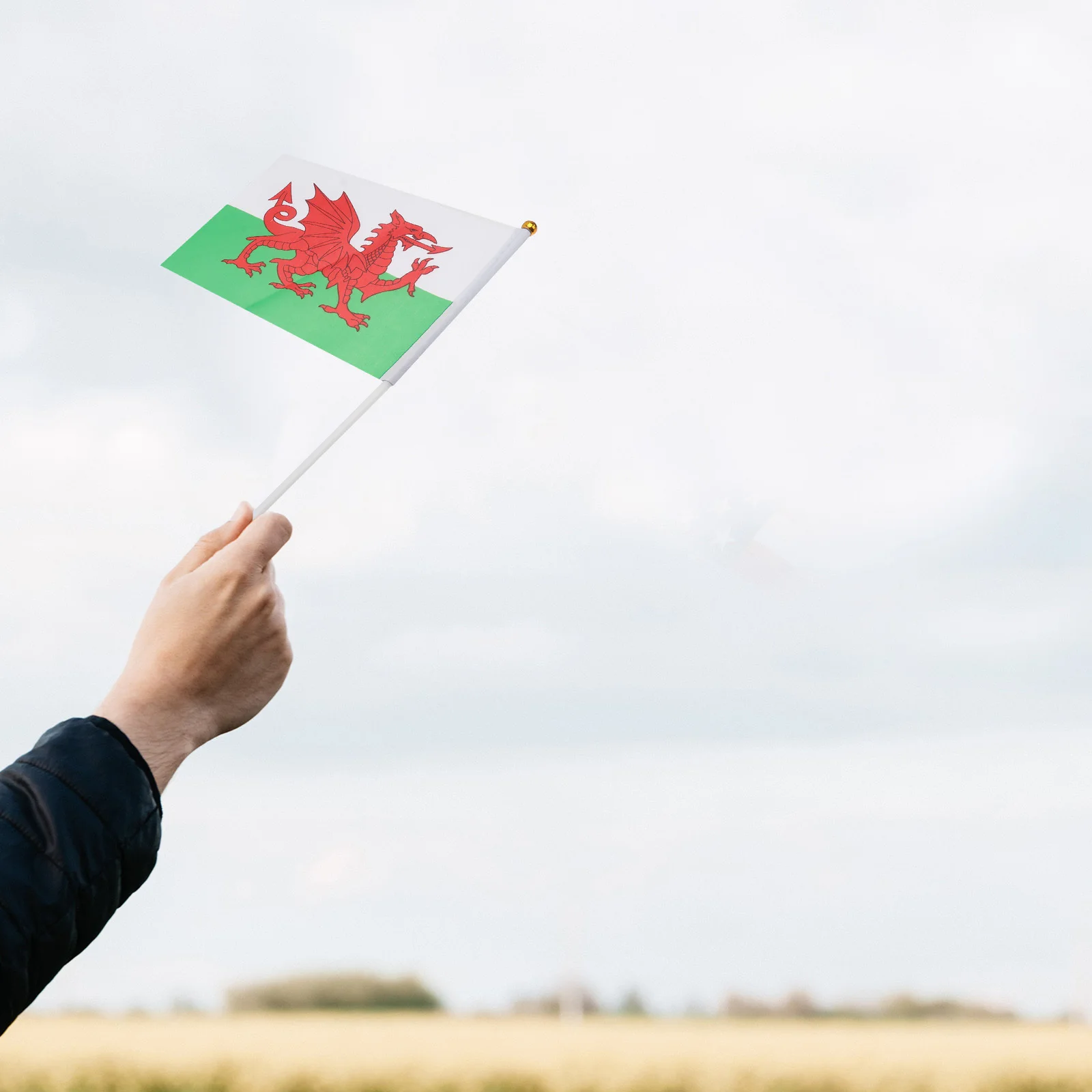 Bandiere per agitare le mani da 20 pezzi 14x21 cm Poliestere premium Portatile Squisita fattura Piccolo sfilata