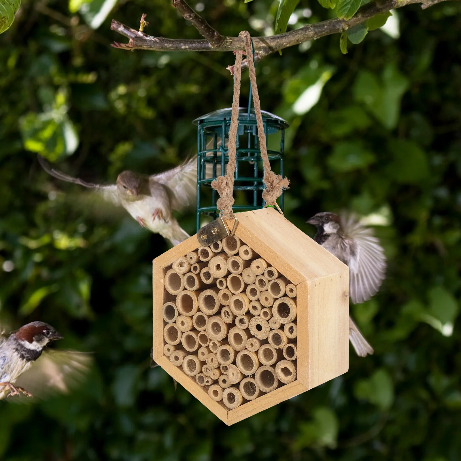 

Bee Kit Insect Houses Beehive Decor for Pollinating Bees The Garden Nest Habitat