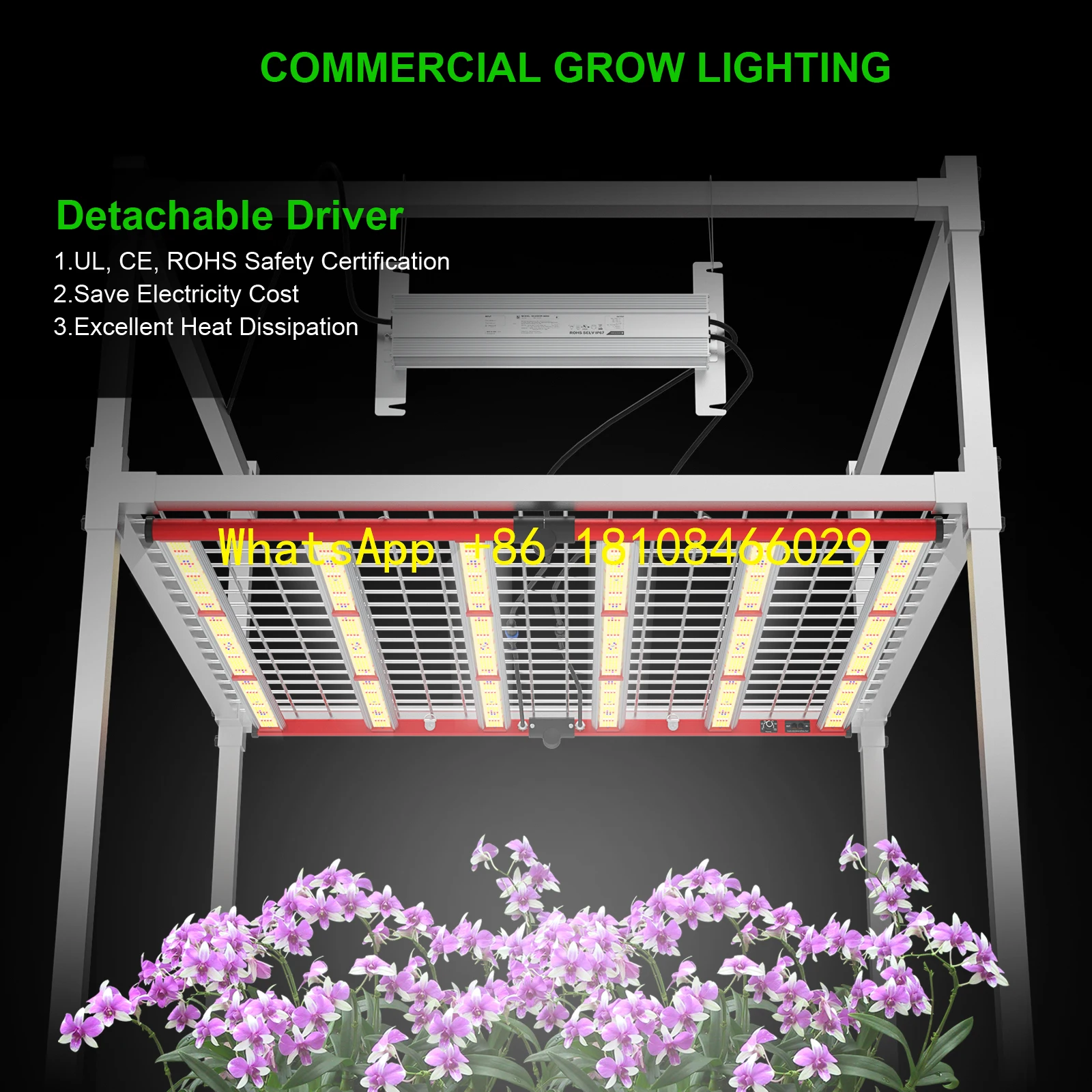 

Lm301b Lm301h for Hydroponic Plant Growth650W Full Spectrum Daisy Chain Dimmable Led Grow Light with Lm281b