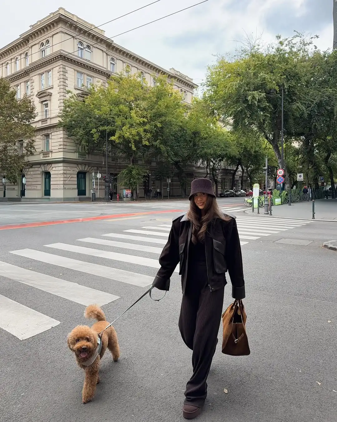 Women Solid Vintage Turn-down Collar Leather Jacket Stand Collar Long Sleeve Zipper Loose Top Lady 2025 Winter Streetwear Coat