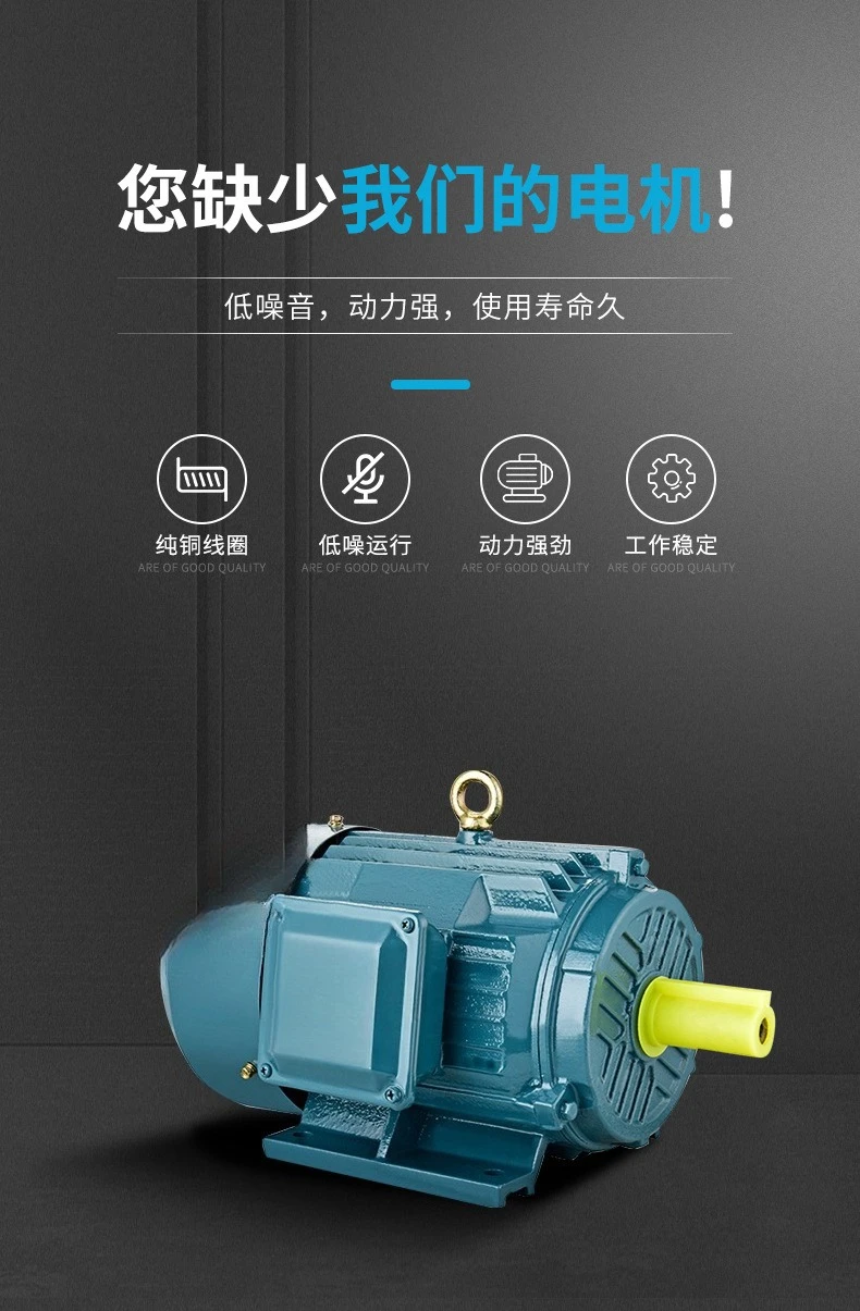 Moteur asynchrone triphasé YE3, 6 pôles, 220 kW, 250kw, 280kw, AC