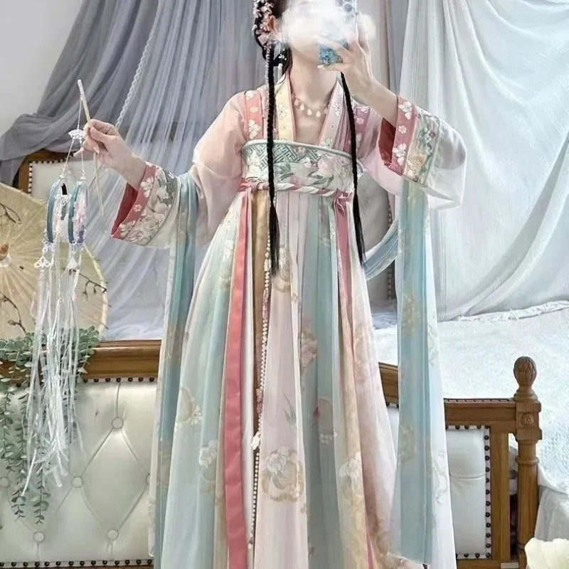 Robes de princesse brodées roses de la dynastie Tang pour femmes, Hanfu traditionnel chinois, danse folklorique des Prairies, olympiques de cosplay de carnaval