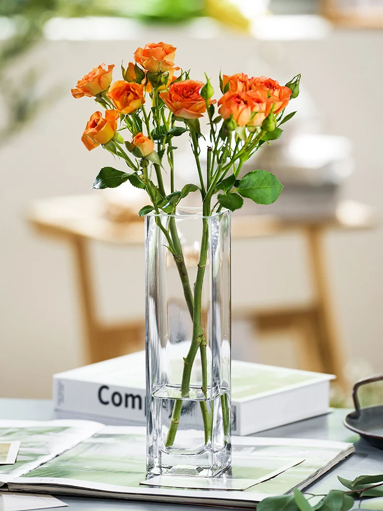 Light Luxury Creative High Grade Original Color Glass Transparent Vase Living Room Soft Decoration Aquaculture Flower Nordic
