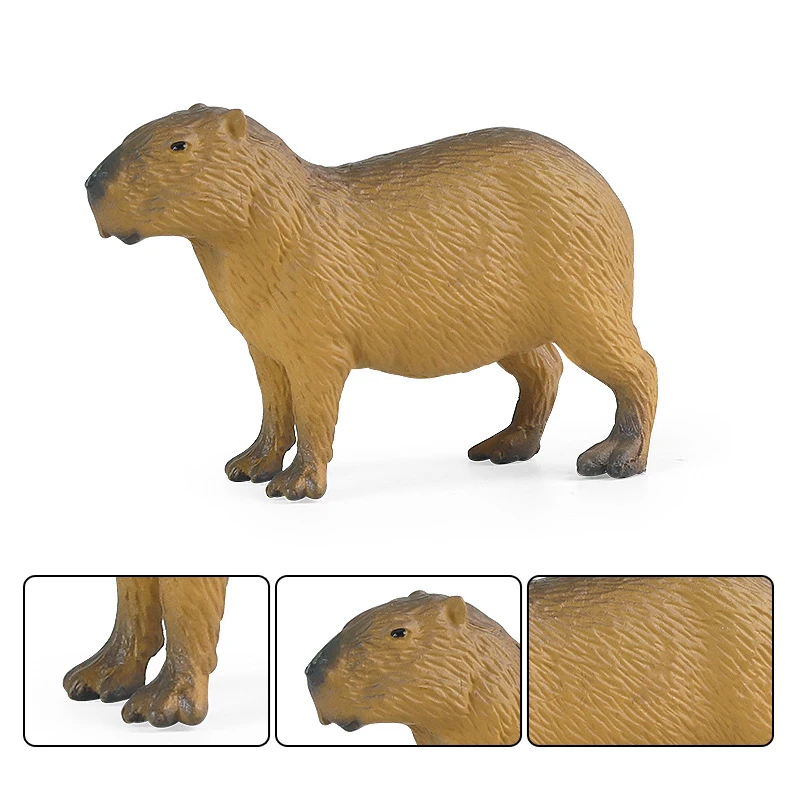 Capybara Wild Dier Model Simulatie Capybara Knuffels Pluche Speelgoed Zachte Poppen Echte Leven Capybara Poppen Kinderen Speelgoed Peluche