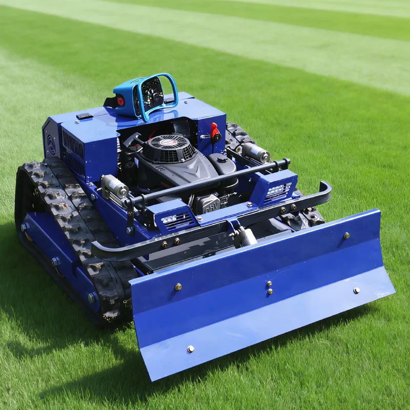 Customized Self-Pro…